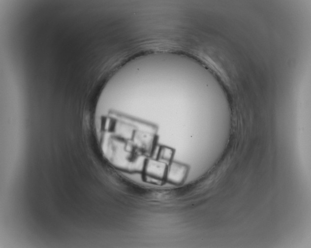 X0000111680117200907171512