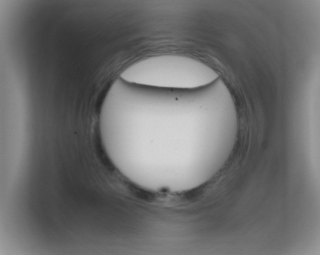 X0000111680125200907171512