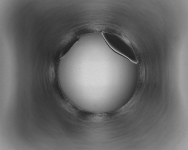 X0000111680128200907171512