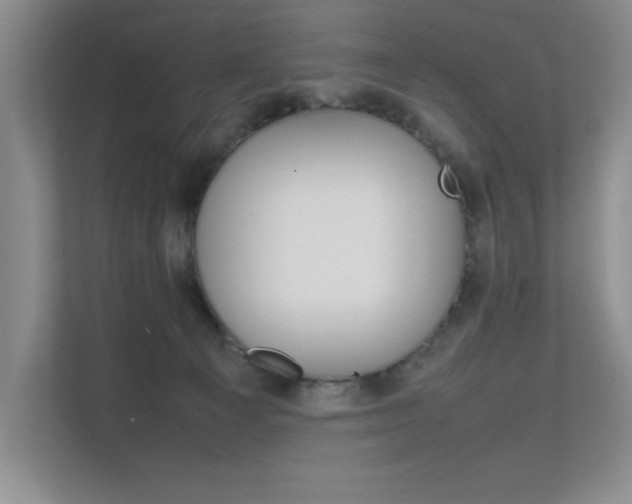 X0000111680129200907171512