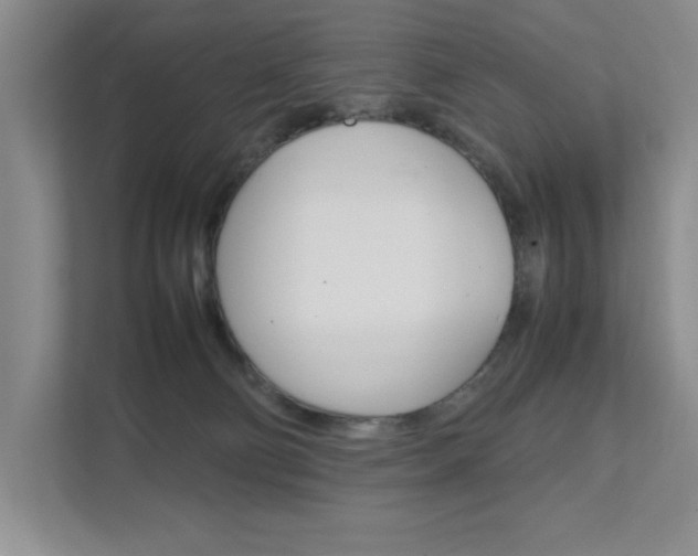 X0000111680130200907171512