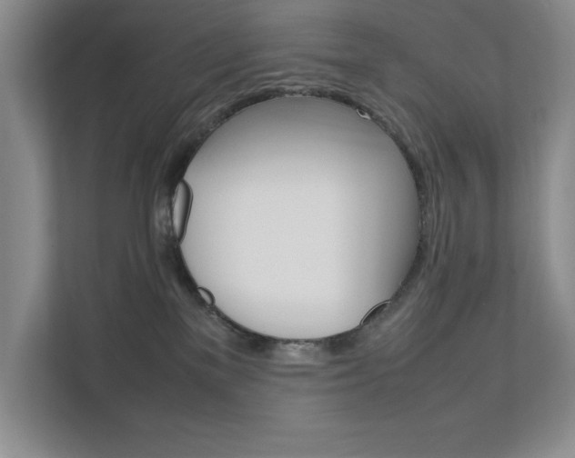 X0000111680137200907171512