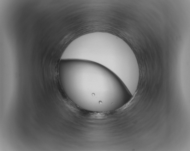 X0000111680140200907171512