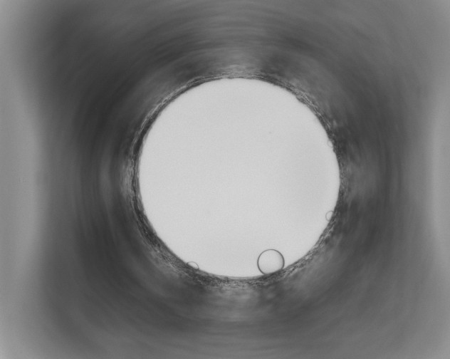 X0000111680146200907171511