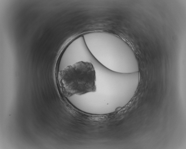 X0000111680147200907171511
