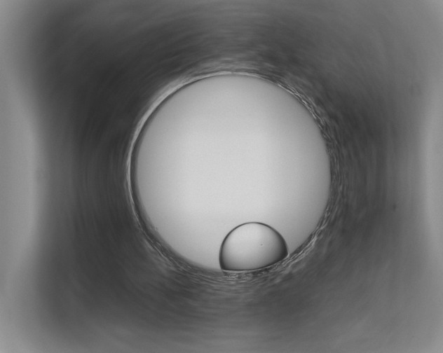 X0000111680148200907171511