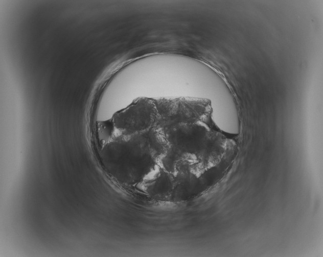 X0000111680149200907171511