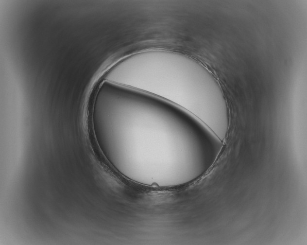 X0000111680150200907171511