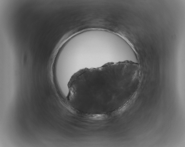 X0000111680151200907171511