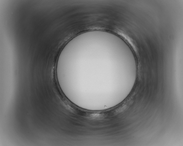 X0000111680153200907171511