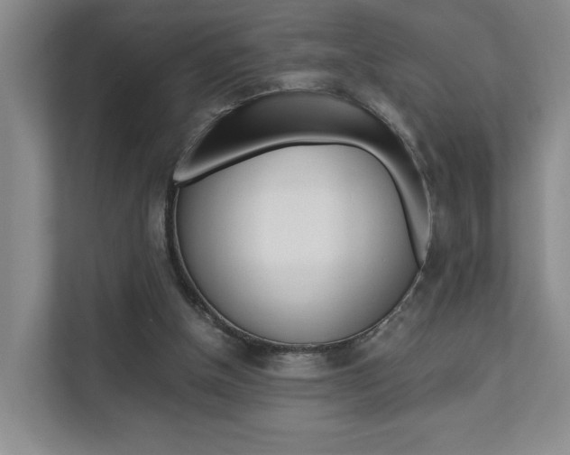 X0000111680154200907171511