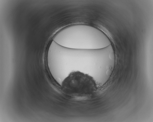 X0000111680155200907171511
