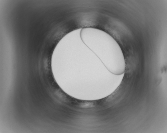 X0000111680162200907171511