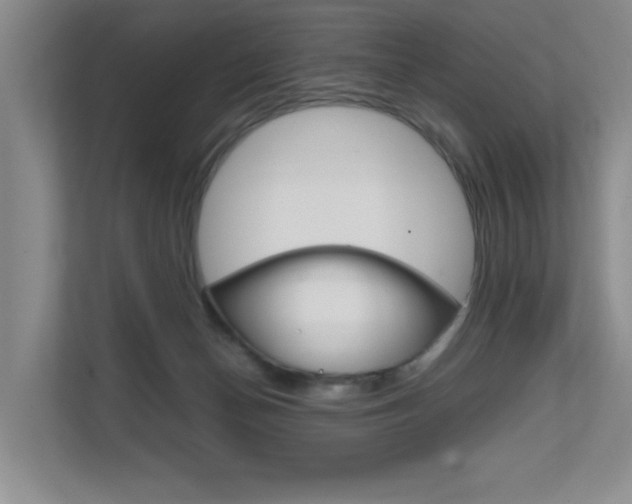 X0000111680174200907171512