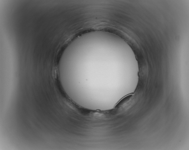 X0000111680180200907171512