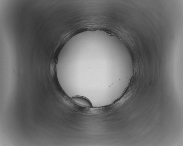 X0000111680188200907171512