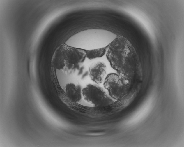 X0000111680189200907171512