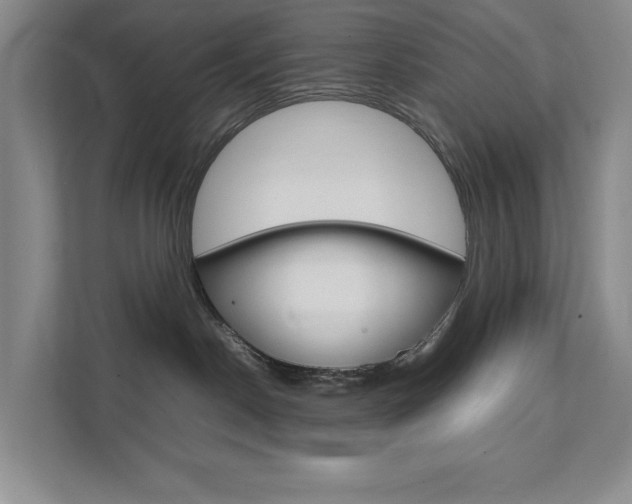 X0000111680190200907171512