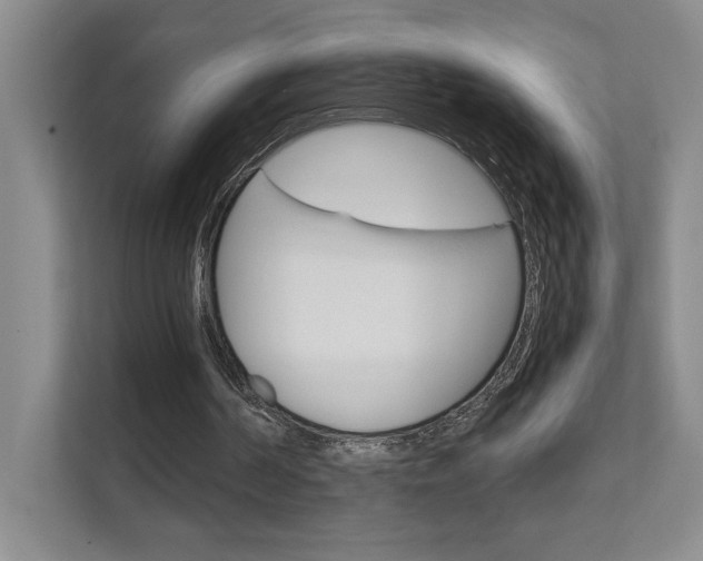 X0000111680194200907171511