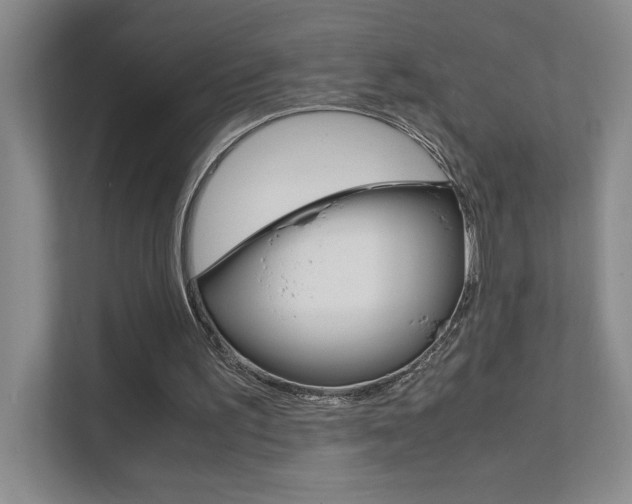 X0000111680195200907171511