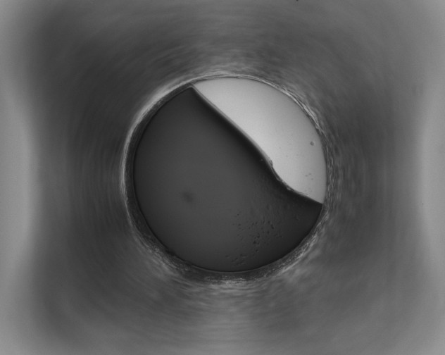 X0000111680196200907171511
