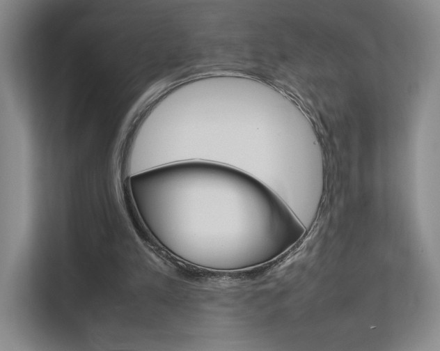 X0000111680197200907171511