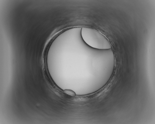 X0000111680198200907171511