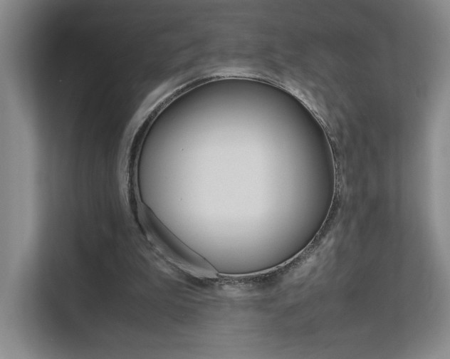X0000111680199200907171511
