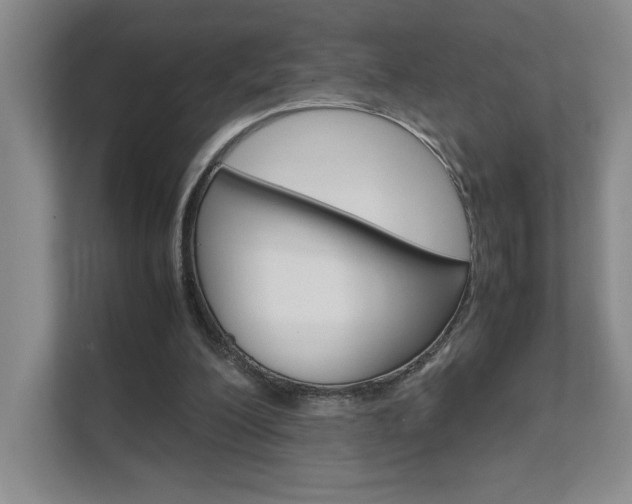 X0000111680200200907171511