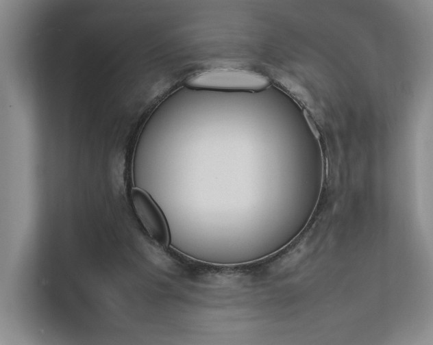 X0000111680201200907171511