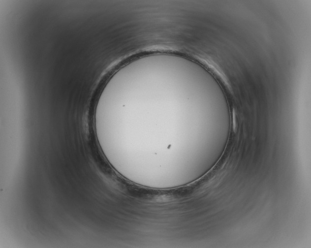 X0000111680204200907171511