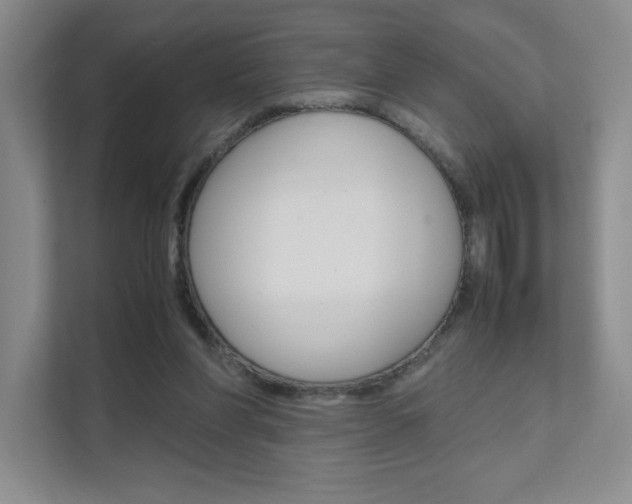 X0000111680206200907171511