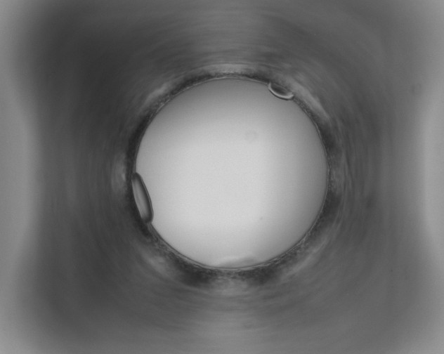 X0000111680207200907171511
