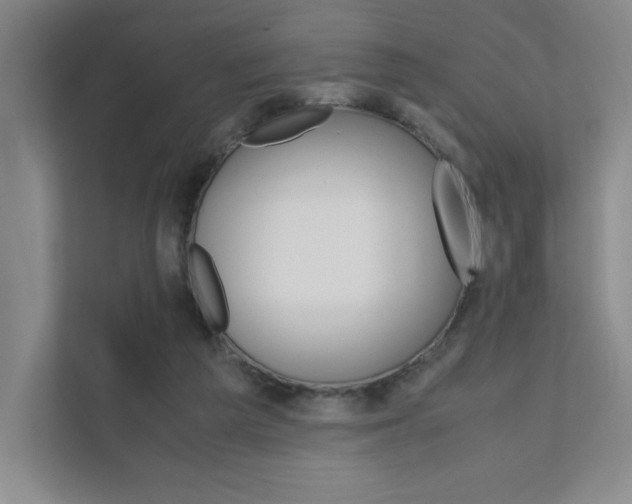 X0000111680209200907171511