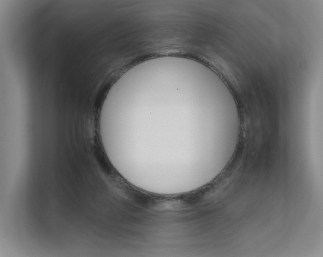 X0000111680210200907171511