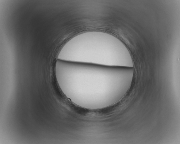 X0000111680211200907171511