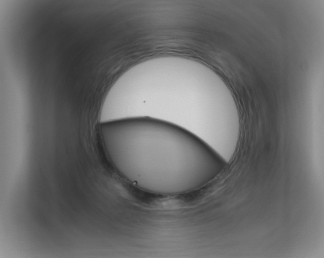 X0000111680219200907171511