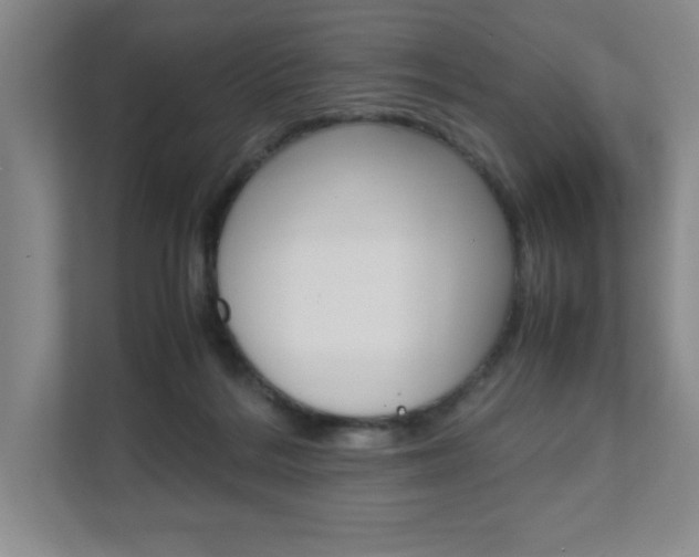X0000111680220200907171511