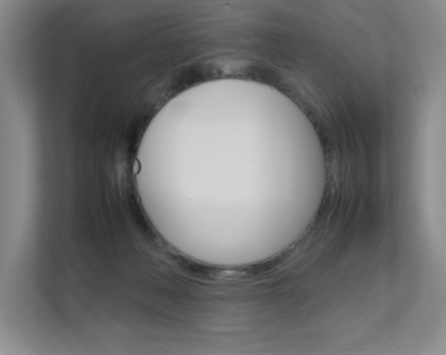 X0000111680222200907171511