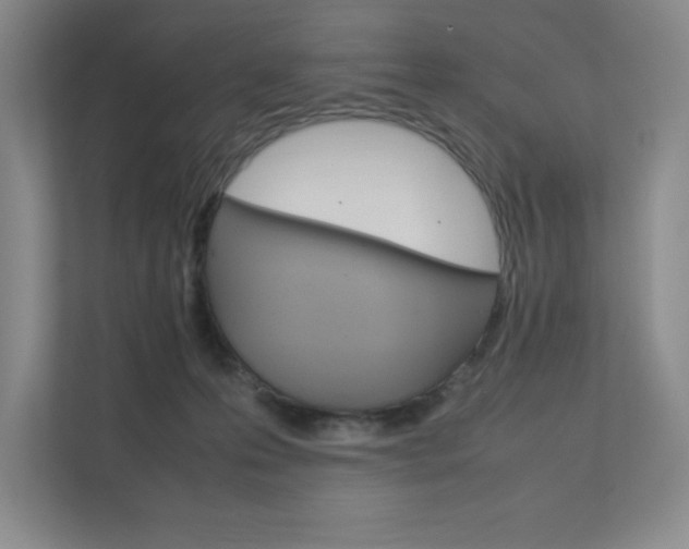 X0000111680223200907171511