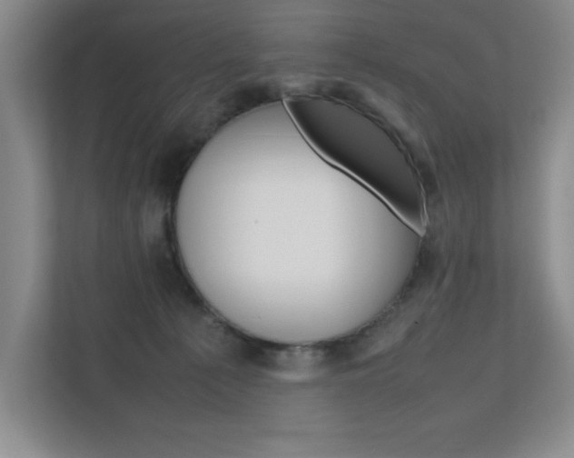 X0000111680225200907171511