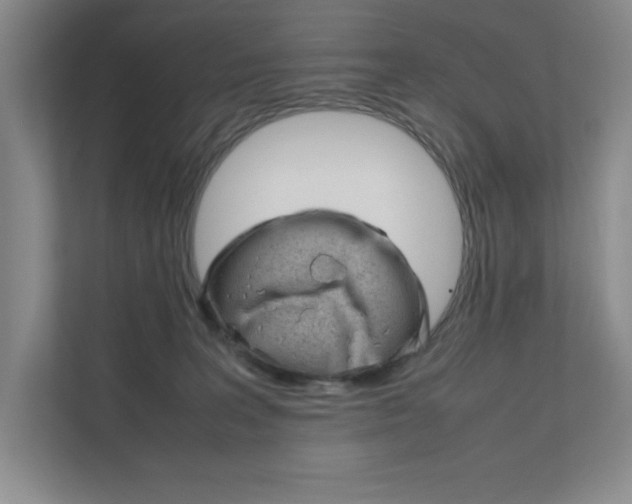 X0000111680227200907171511
