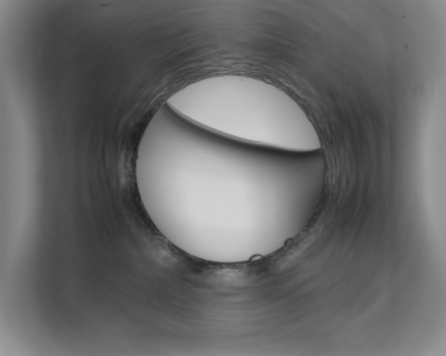 X0000111680236200907171511