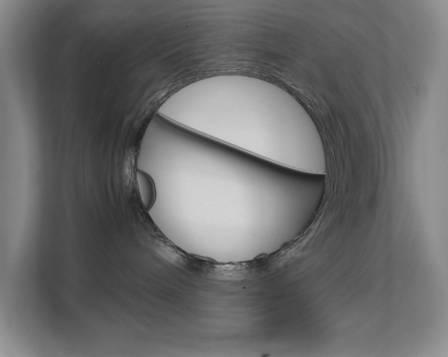 X0000111680240200907171511
