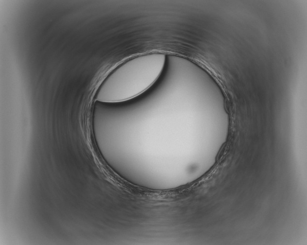 X0000111680241200907171510