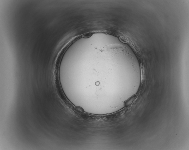 X0000111680243200907171510