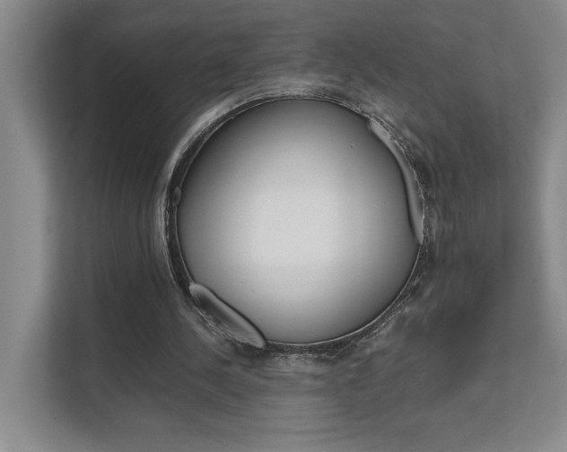X0000111680244200907171510