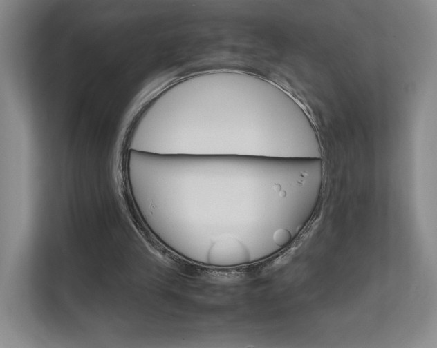X0000111680245200907171510