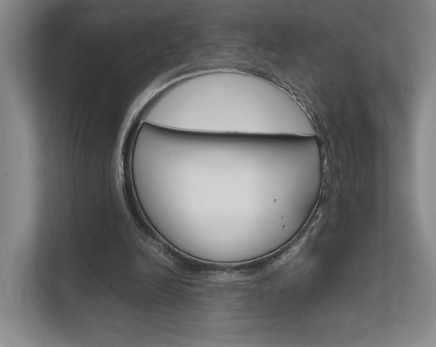 X0000111680246200907171510