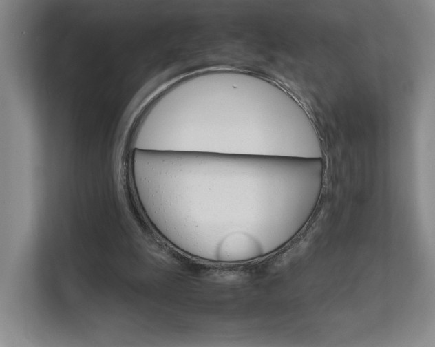 X0000111680247200907171510